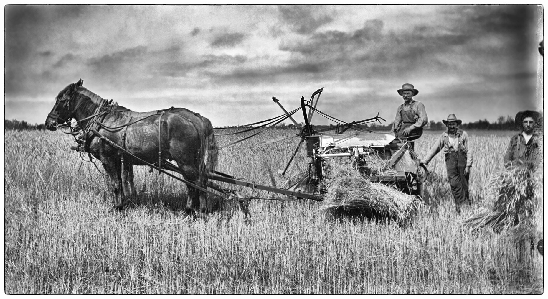 Horses pullng a bailer/Wadena/MN/lifestyle photo