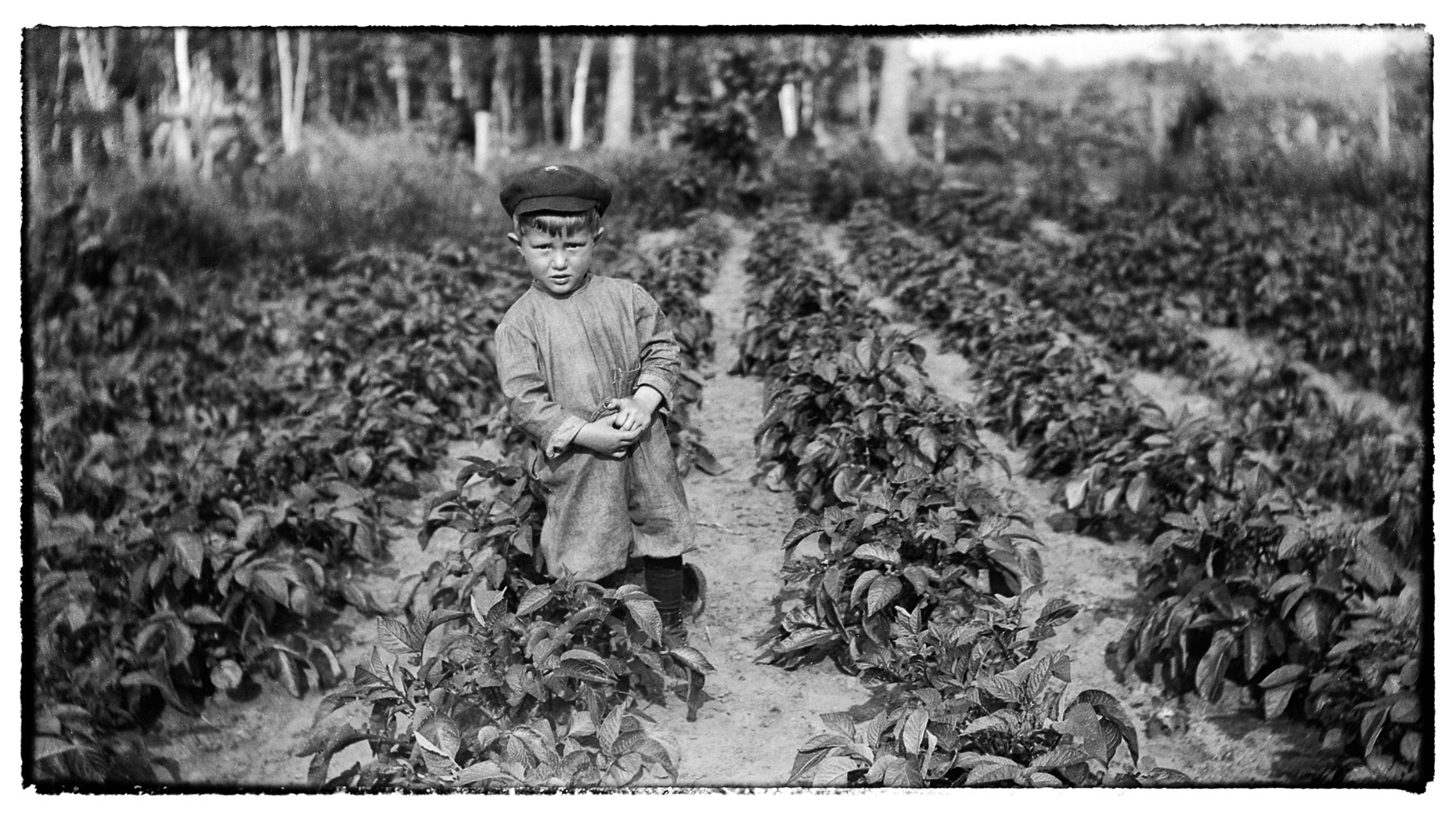 Boy standing/farmlife//Wadena/MN/lifestyle photo