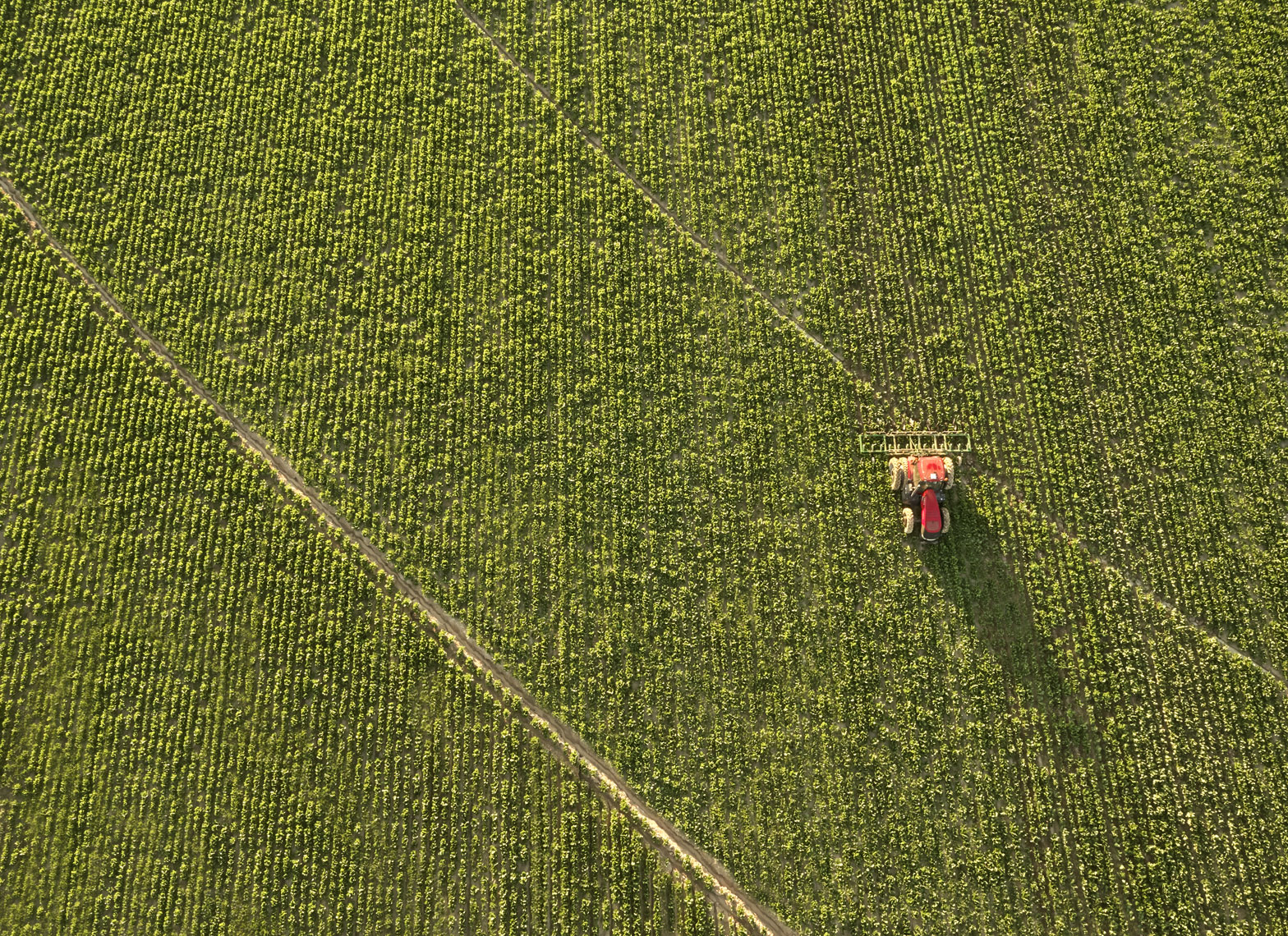 Red tractor/field/pestiside/arial drone photography