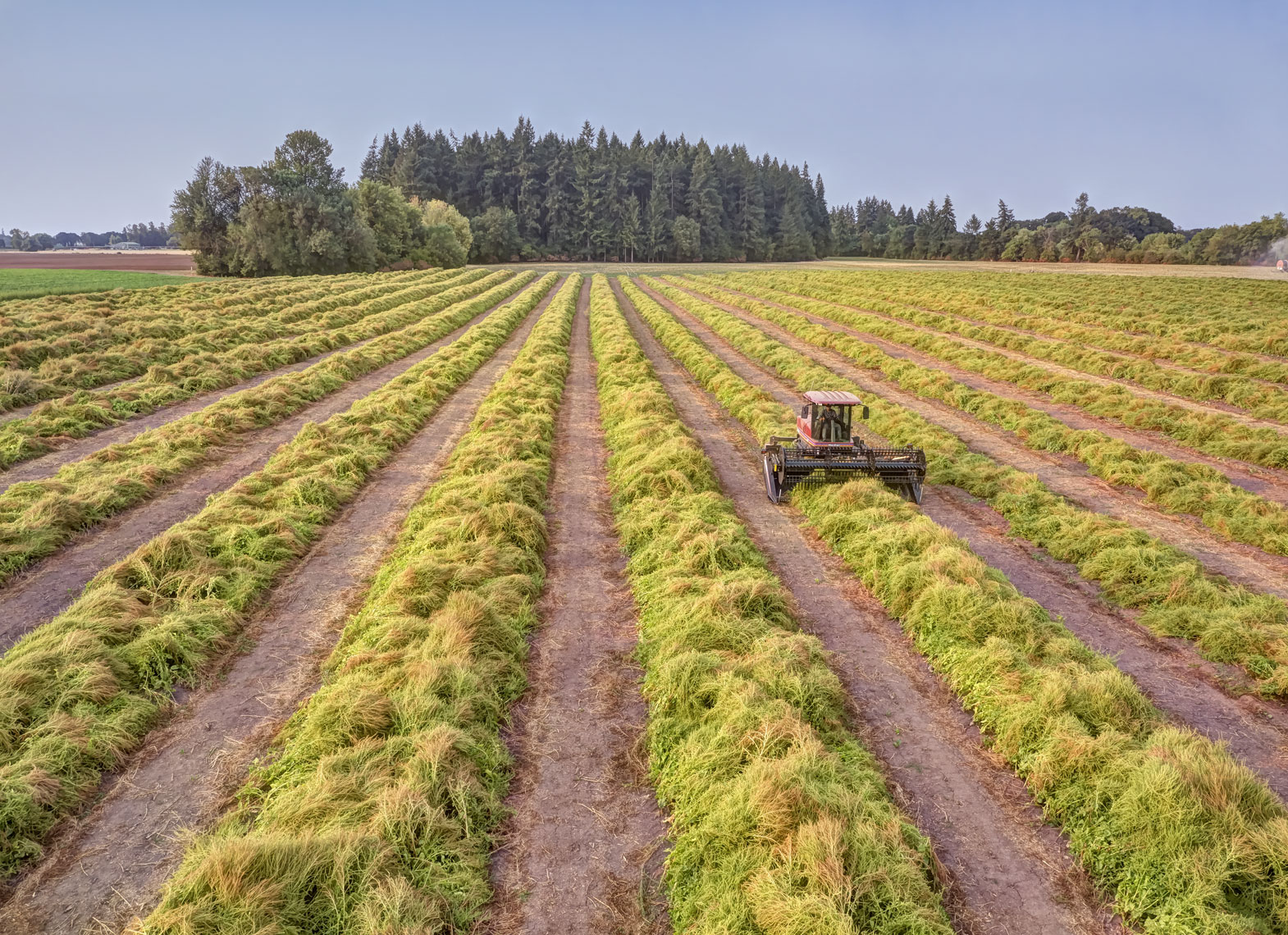 drone/farm equipment/field/crops/rows/InsideOut Studios