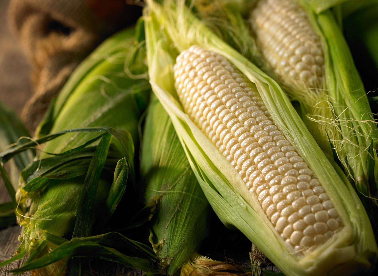 Two ears of white corn/barnwoon table/agriculture photography