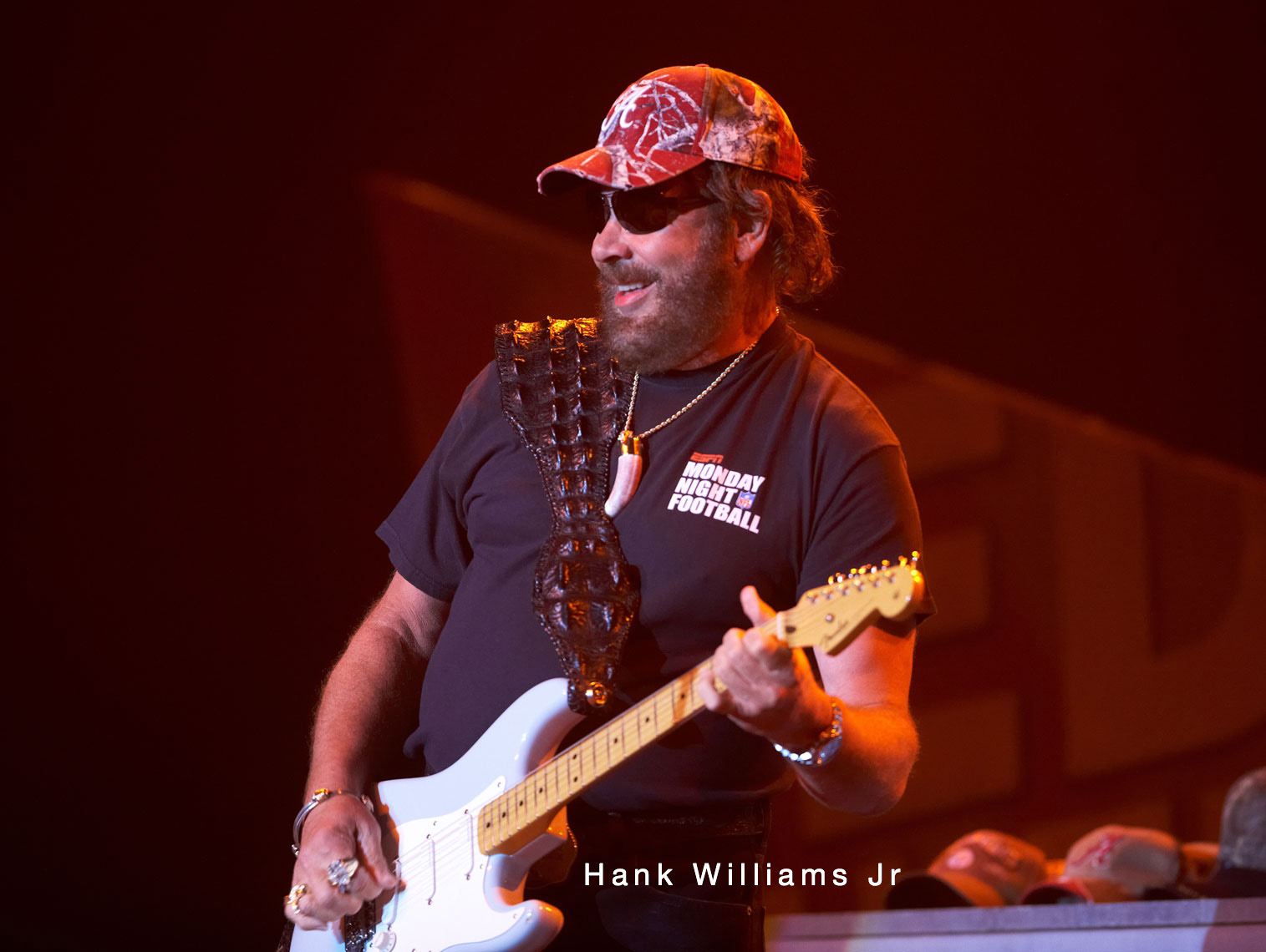 Hank Williams/Mystic Lake Casino/concert photo