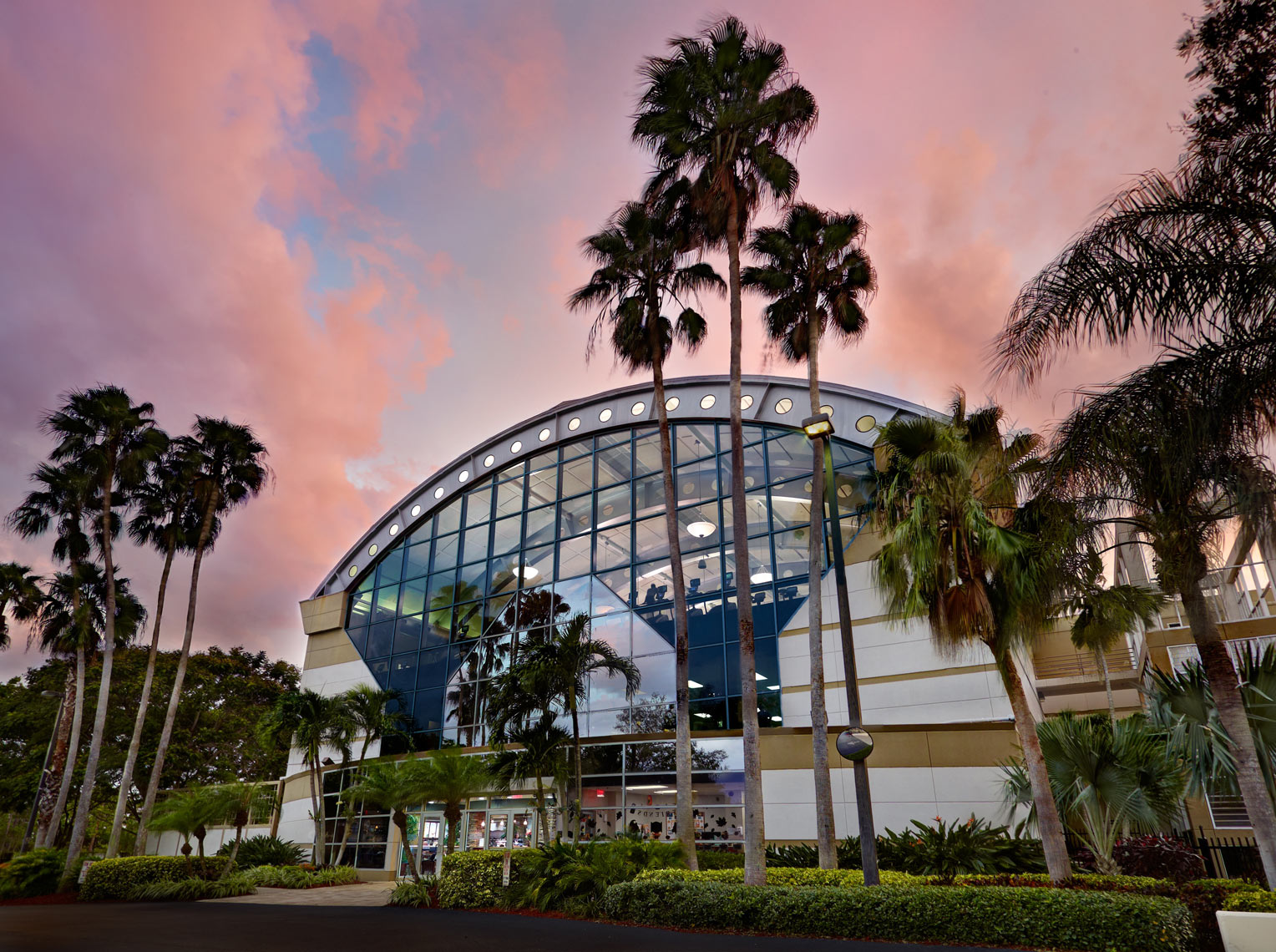 Lifetime Fitness exterior/large glass front/palm trees/architectural photo