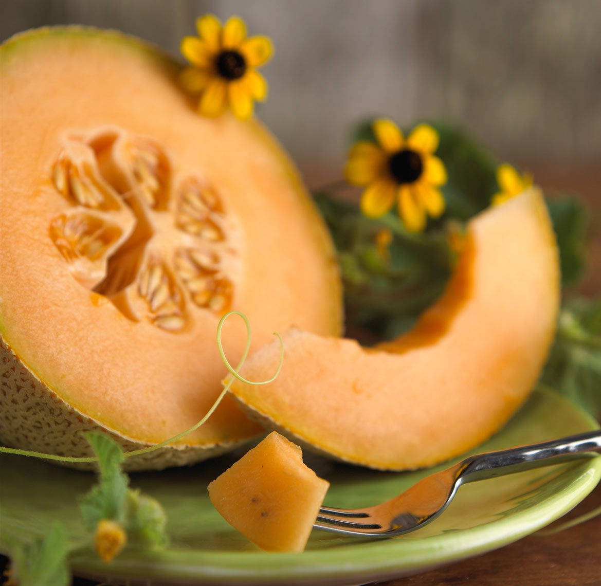 Cantaloupe/green plate/black eyed Susan’s/food photography