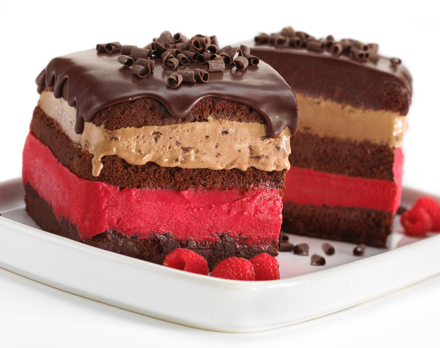 Chocolate and raspberry layer cake/food photography