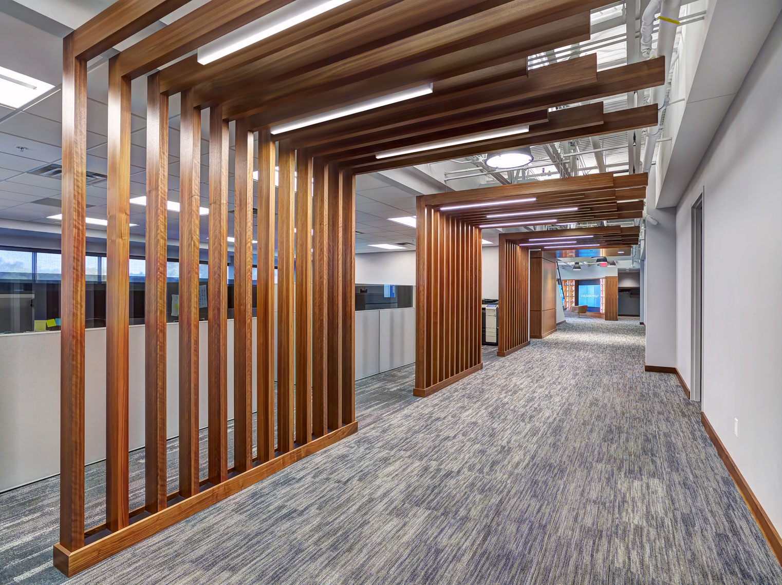 Wilson Wolf/office hall/wooden accents/architectural photography