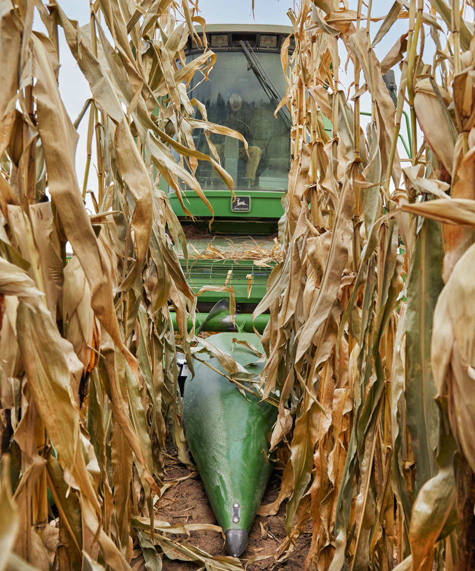 Corn field/harvest/crop/farm equipment/agricultural photography