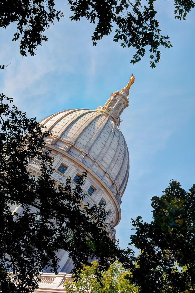 State Capitol/Madison Wi/dome/trees/locaton photography