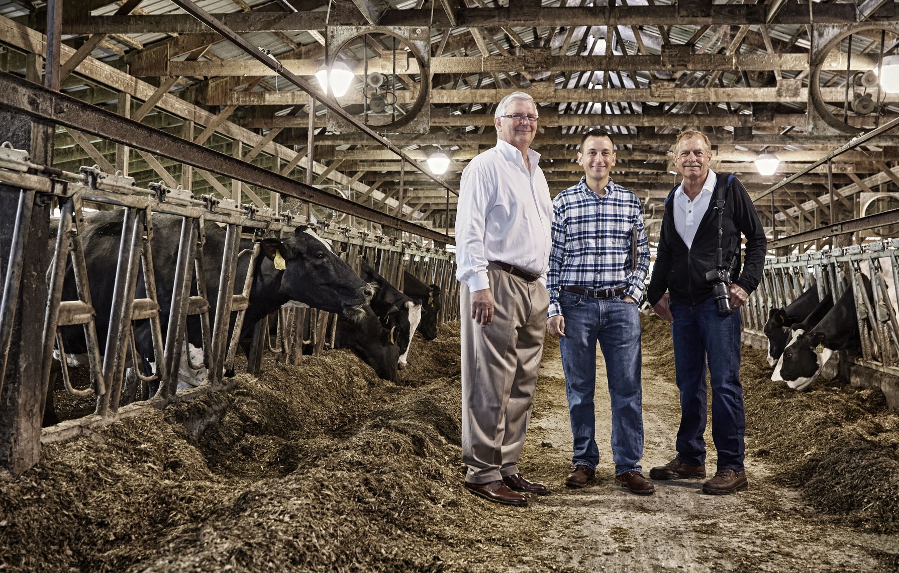 Dairy cows/portrait of bankers/agriculture photography