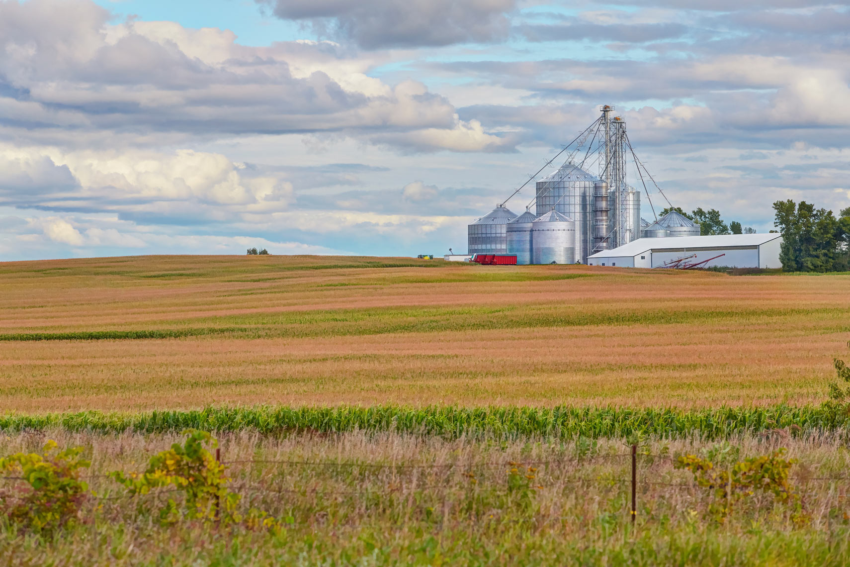 Farm field/autumn/silver silos/agriculture photography