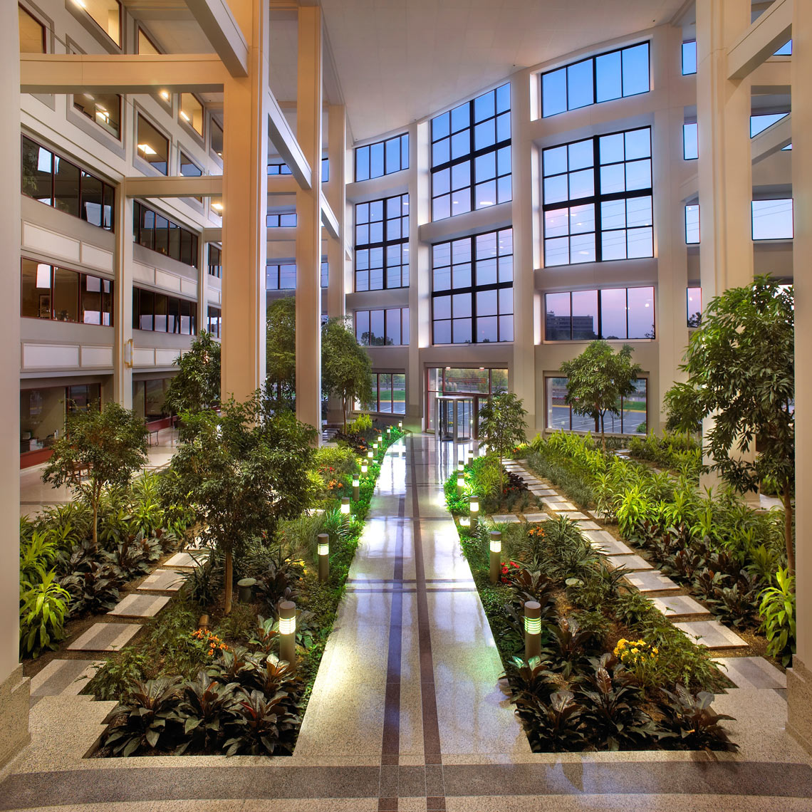 Planted atrium of Bachman’s/4 story/glassed front/architectural photo