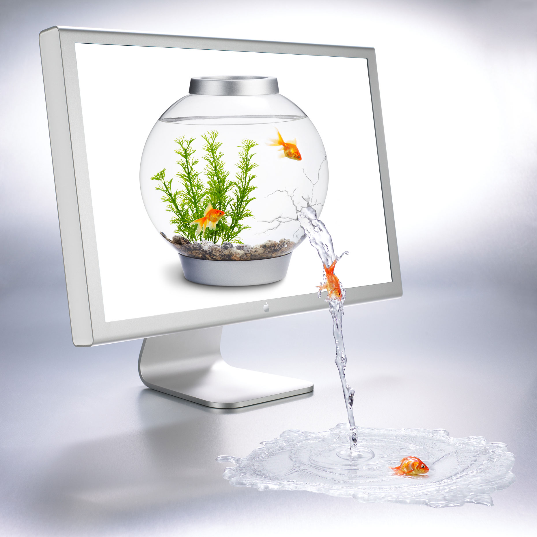 Fishbowl/goldfish spilling out/computer monitor/product photography